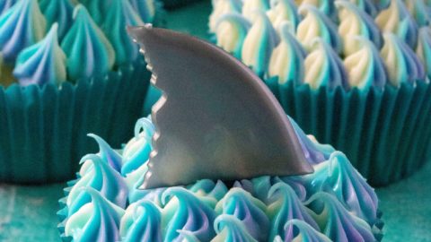 Super Easy Deep Sea Shark Fishing Themed Cupcakes
