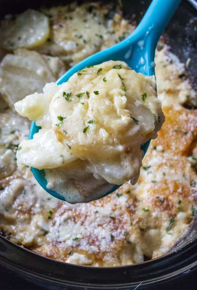 Slow Cooker Cheesy Scalloped Potatoes A Wicked Whisk